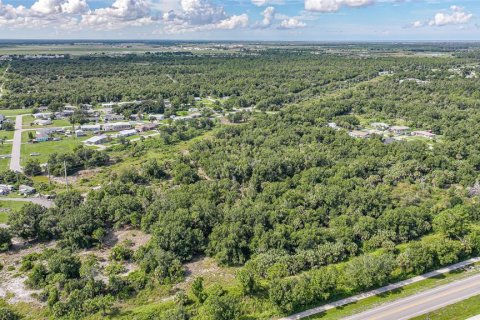 Land in Punta Gorda, Florida № 1895085 - photo 13