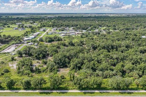 Land in Punta Gorda, Florida № 1895085 - photo 8
