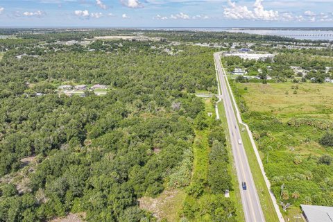 Land in Punta Gorda, Florida № 1895085 - photo 15
