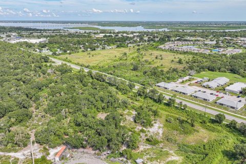 Land in Punta Gorda, Florida № 1895085 - photo 17
