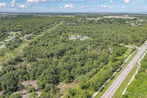 Land in Punta Gorda, Florida № 1895085 - photo 14