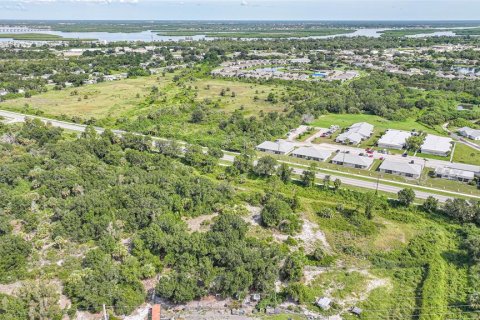 Land in Punta Gorda, Florida № 1895085 - photo 16