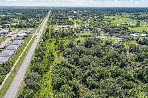 Land in Punta Gorda, Florida № 1895085 - photo 4
