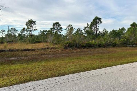 Terreno en venta en Punta Gorda, Florida № 1855574 - foto 5