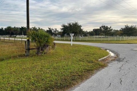 Terreno en venta en Punta Gorda, Florida № 1855574 - foto 4