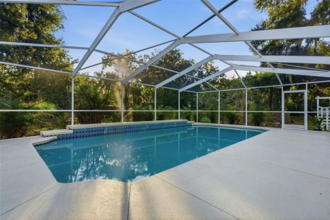 Villa ou maison à vendre à Wimauma, Floride: 4 chambres, 250.65 m2 № 2330376 - photo 12