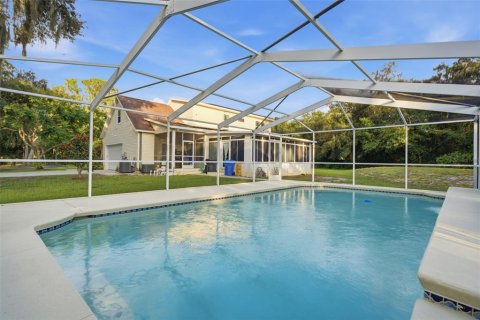 Villa ou maison à vendre à Wimauma, Floride: 4 chambres, 250.65 m2 № 2330376 - photo 17