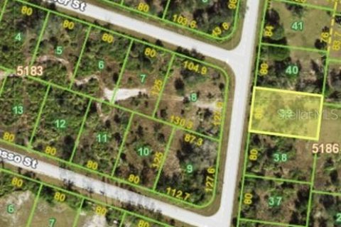 Land in Port Charlotte, Florida № 2211120