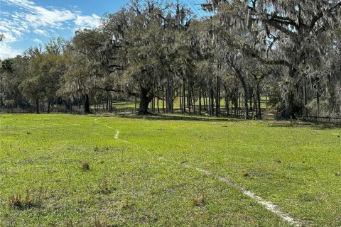 Terrain à vendre à Reddick, Floride № 1743381 - photo 6
