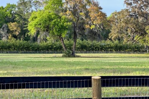 Terrain à vendre à Reddick, Floride № 1743381 - photo 4