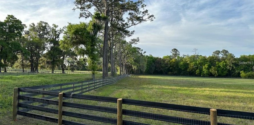 Terrain à Reddick, Floride № 1743381