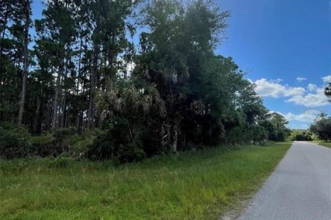Land in Port Charlotte, Florida № 2233424 - photo 5
