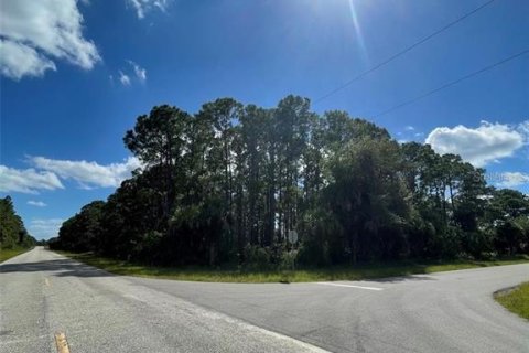 Land in Port Charlotte, Florida № 2233424 - photo 6