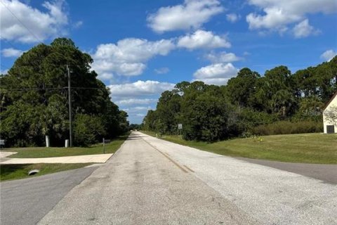 Land in Port Charlotte, Florida № 2233424 - photo 4