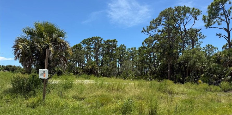 Terreno en Rotonda, Florida № 1884536