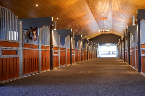 Villa ou maison à vendre à Davie, Floride: 8 chambres, 592.72 m2 № 2032204 - photo 19