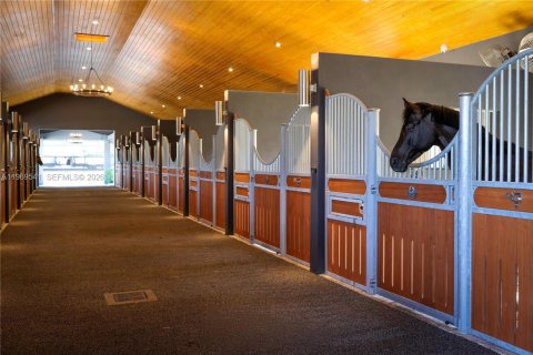 Villa ou maison à vendre à Davie, Floride: 8 chambres, 592.72 m2 № 2032204 - photo 7