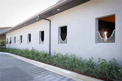 Villa ou maison à vendre à Davie, Floride: 8 chambres, 592.72 m2 № 2032204 - photo 6