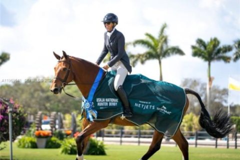 Villa ou maison à vendre à Davie, Floride: 8 chambres, 592.72 m2 № 2032204 - photo 13