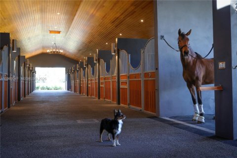 Villa ou maison à vendre à Davie, Floride: 8 chambres, 592.72 m2 № 2032204 - photo 18