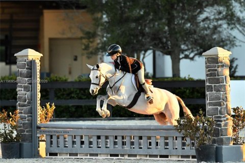 Villa ou maison à vendre à Davie, Floride: 8 chambres, 592.72 m2 № 2032204 - photo 11