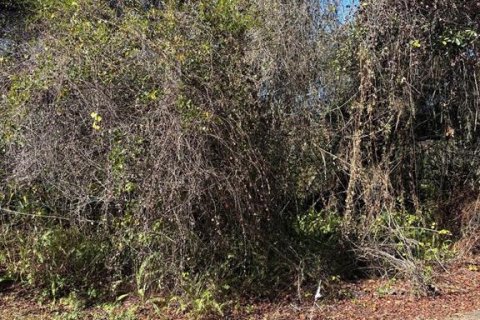 Land in New Port Richey, Florida № 2163995 - photo 2