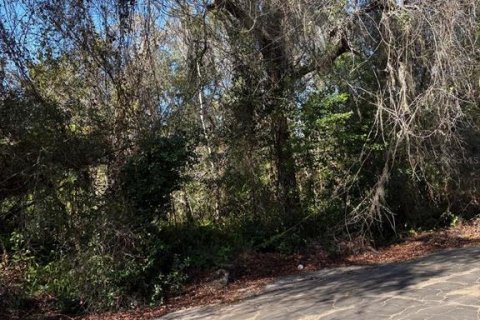 Land in New Port Richey, Florida № 2163995