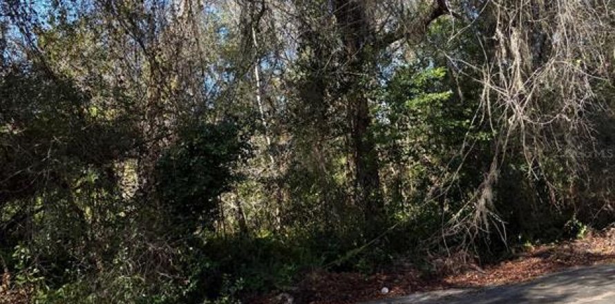 Land in New Port Richey, Florida № 2163995
