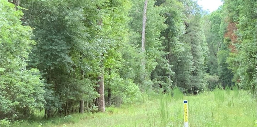 Land in Micanopy, Florida № 1917064