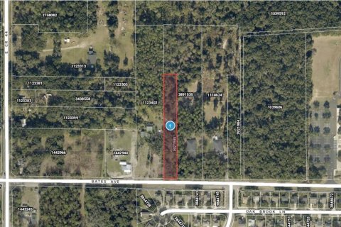 Land in Eustis, Florida № 2258671 - photo 2