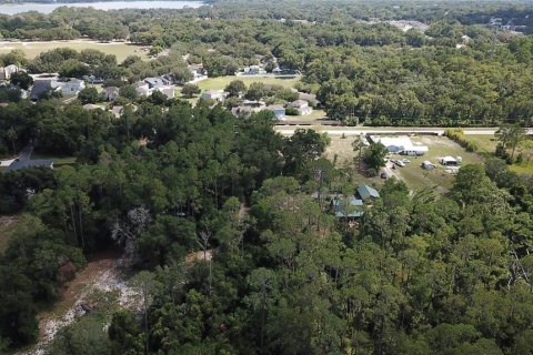 Land in Eustis, Florida № 2258671 - photo 7
