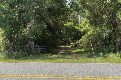 Terrain à Eustis, Floride № 2258671