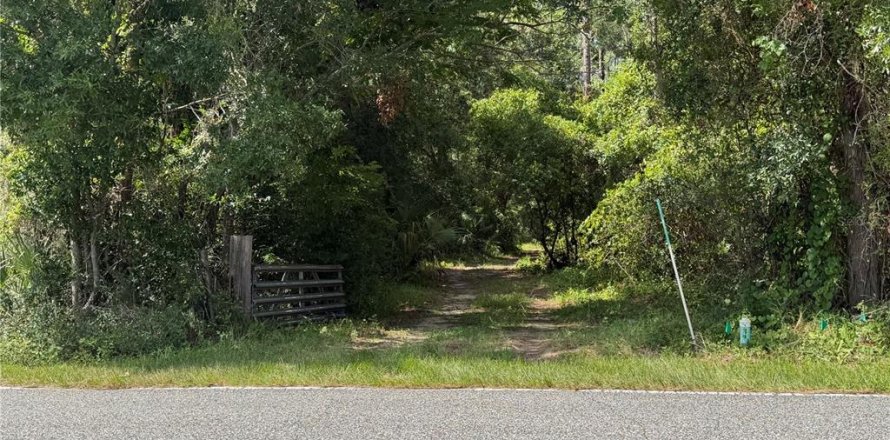 Land in Eustis, Florida № 2258671
