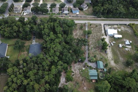 Land in Eustis, Florida № 2258671 - photo 6