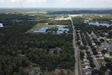 Land in Eustis, Florida № 2258671 - photo 5