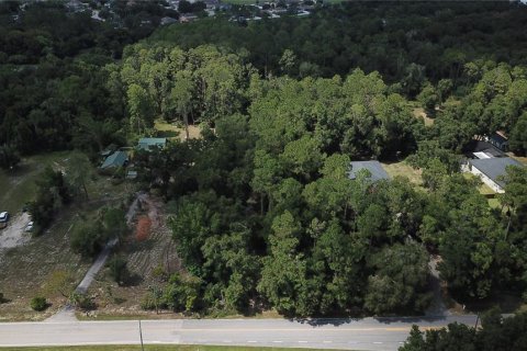 Land in Eustis, Florida № 2258671 - photo 4