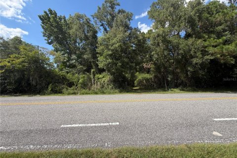 Land in Eustis, Florida № 2258671 - photo 3