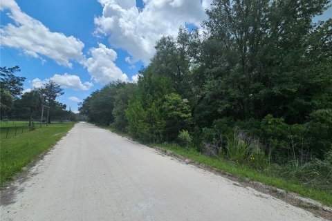 Land in Morriston, Florida № 2226930 - photo 4
