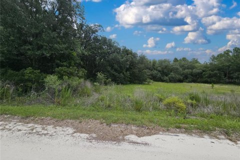 Land in Morriston, Florida № 2226930 - photo 3