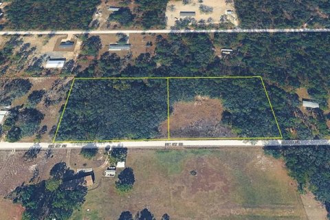 Land in Morriston, Florida № 2226930 - photo 5