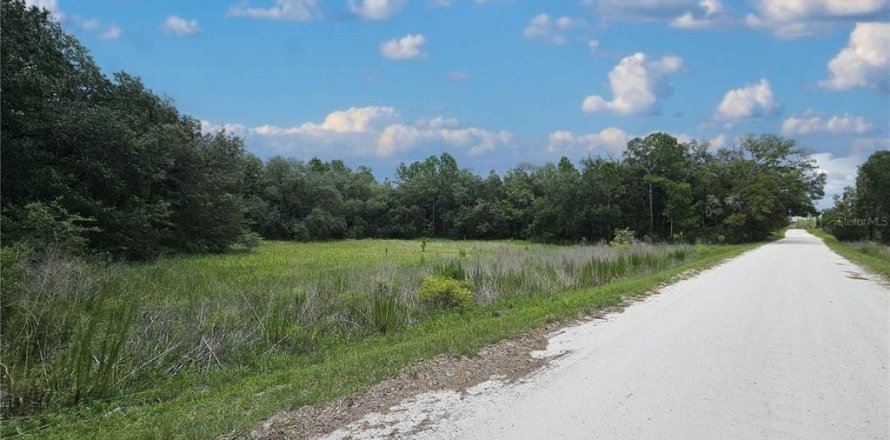 Land in Morriston, Florida № 2226930