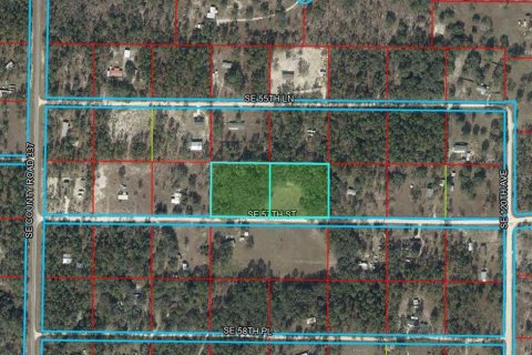 Land in Morriston, Florida № 2226930 - photo 2