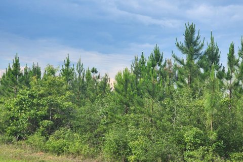 Terreno en venta en Laurel Hill, Florida № 561380 - foto 1