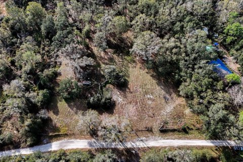 Land in Zephyrhills, Florida № 2156969