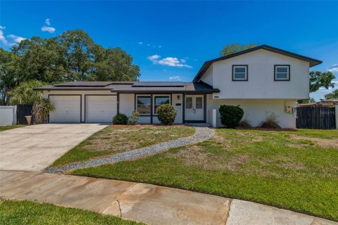 Villa ou maison à Tampa, Floride 4 chambres, 181.9 m2 № 2201807