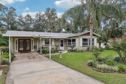 Casa en venta en Umatilla, Florida, 2 dormitorios, 117.89 m2 № 2386470 - foto 3
