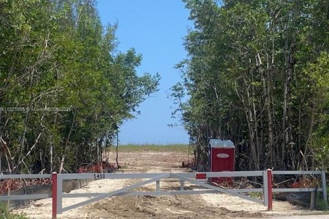Купить земельный участок в Сент-Луси, Флорида № 1957915 - фото 5