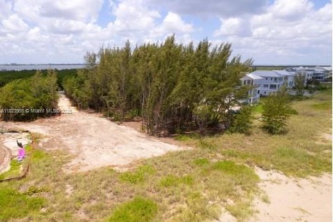 Купить земельный участок в Сент-Луси, Флорида № 1957915 - фото 8