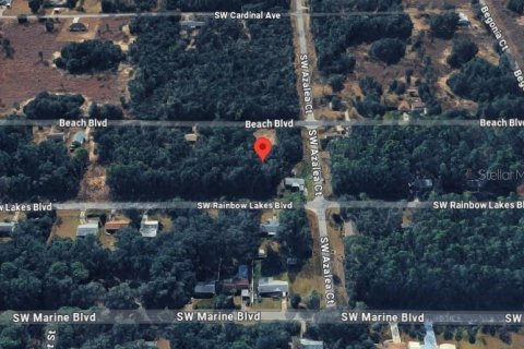 Land in Dunnellon, Florida № 2198985 - photo 3