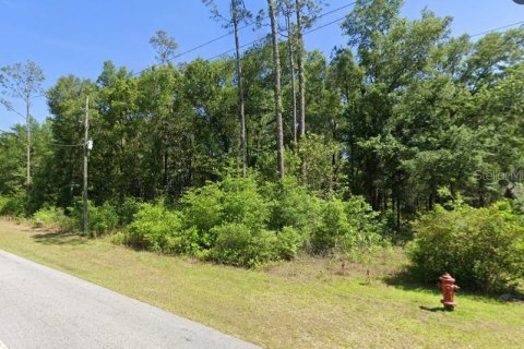 Land in Dunnellon, Florida № 2198985 - photo 2